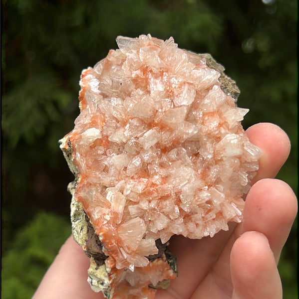 Red Heulandite Cluster