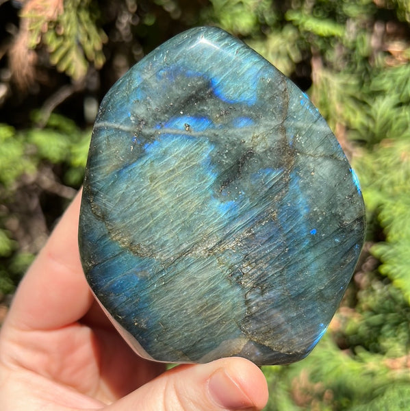 Labradorite Freeform