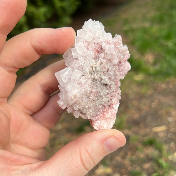 Pink Halite Specimen