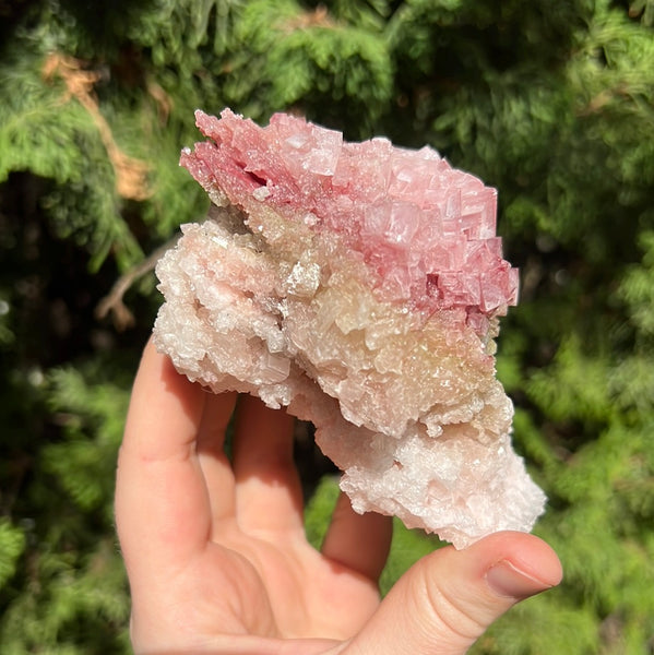 Pink Halite Specimen