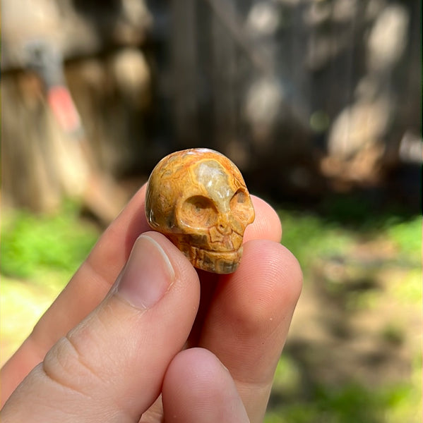 Mini Skull Carvings