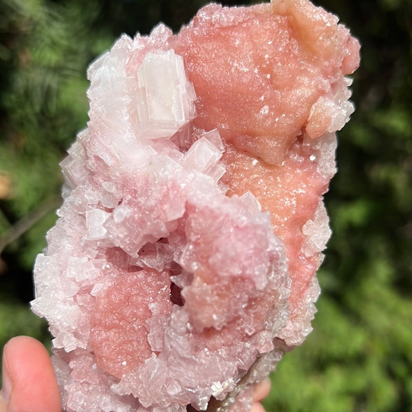 Pink Halite Specimen