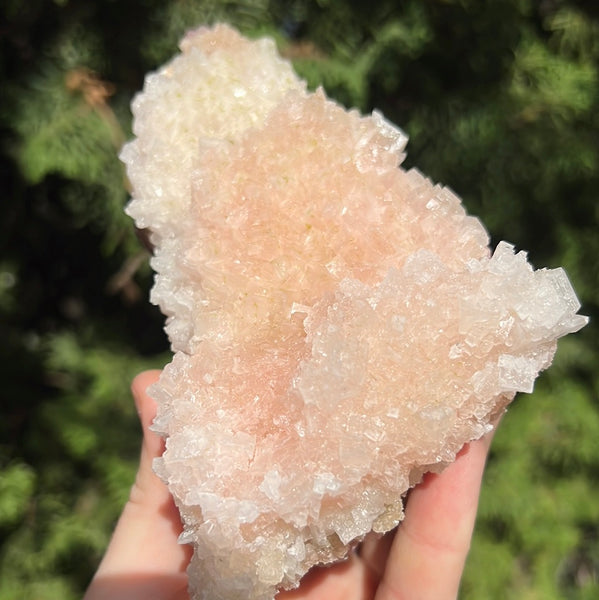 Pink Halite Specimen