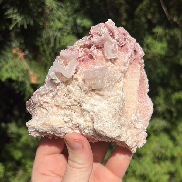 Pink Halite Specimen