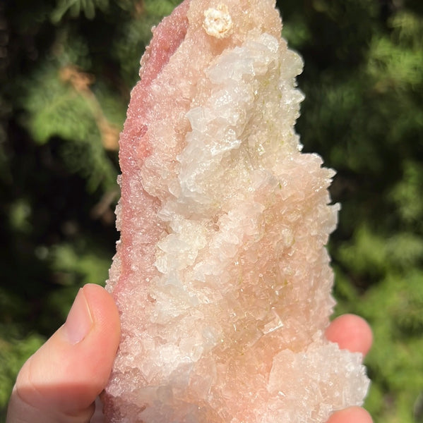 Pink Halite Specimen