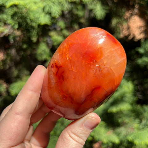 Carnelian Freeform