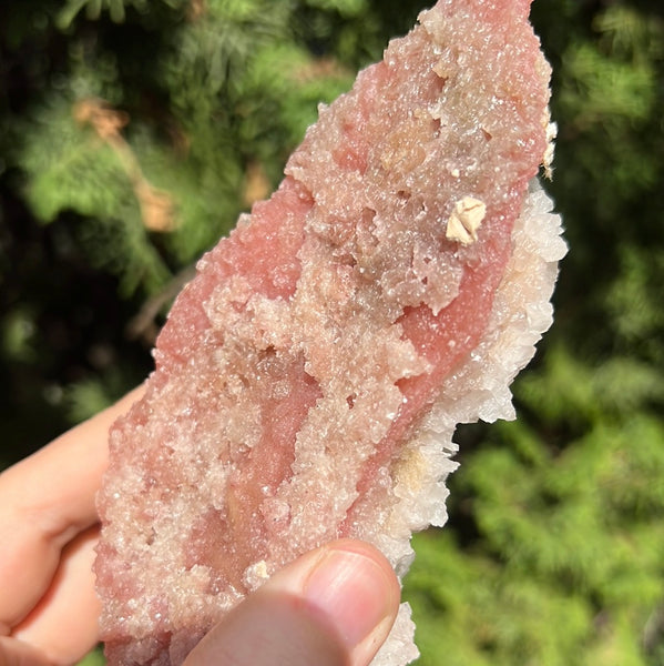 Pink Halite Specimen