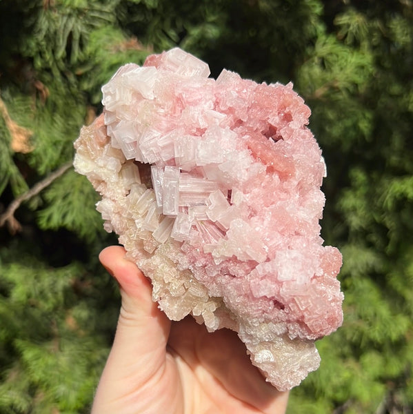 Pink Halite Specimen