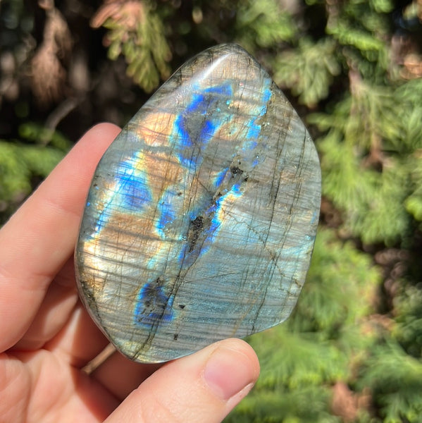 Labradorite Freeform