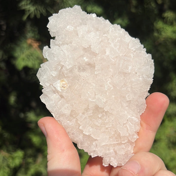 Pink Halite Specimen