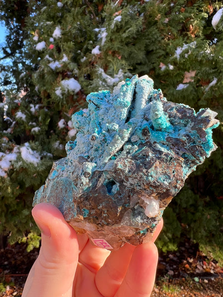 Quantum Chrysocolla Specimen