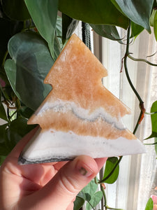 Banded Zebra/Orange Calcite Tree