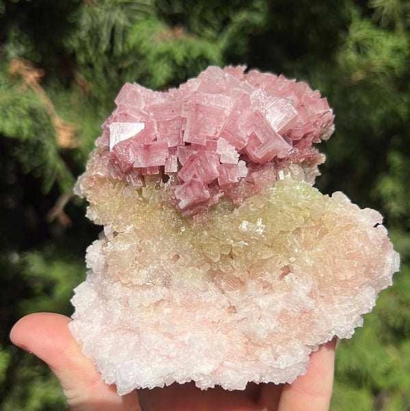 Pink Halite Specimen