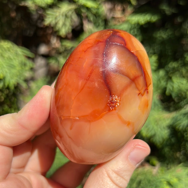 Carnelian Freeform