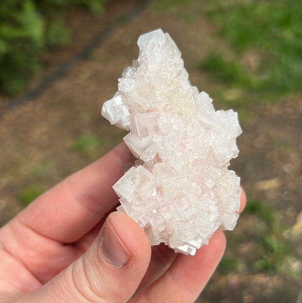 Pink Halite Specimen