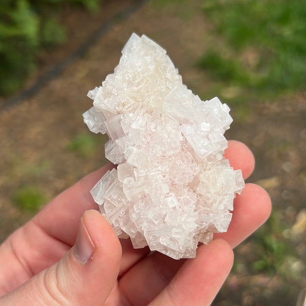 Pink Halite Specimen