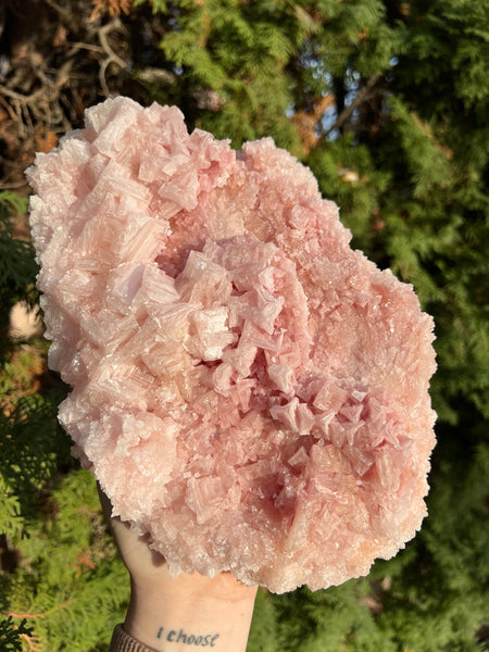 XL Pink Halite Specimen