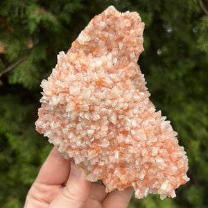 Red Heulandite Cluster