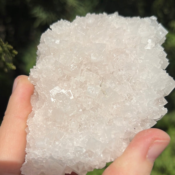 Pink Halite Specimen