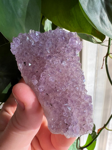 Rainbow Amethyst Cluster