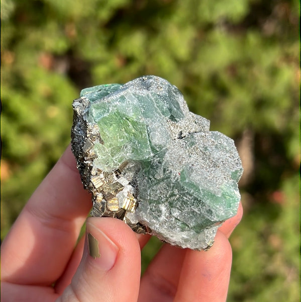 Green Fluorite with Pyrite