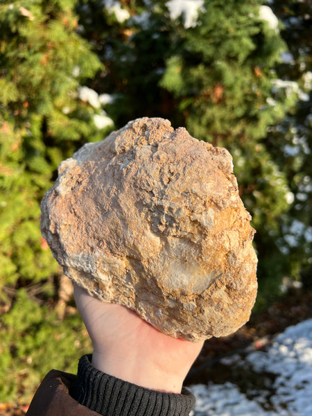 XL Morocco Quartz Geode