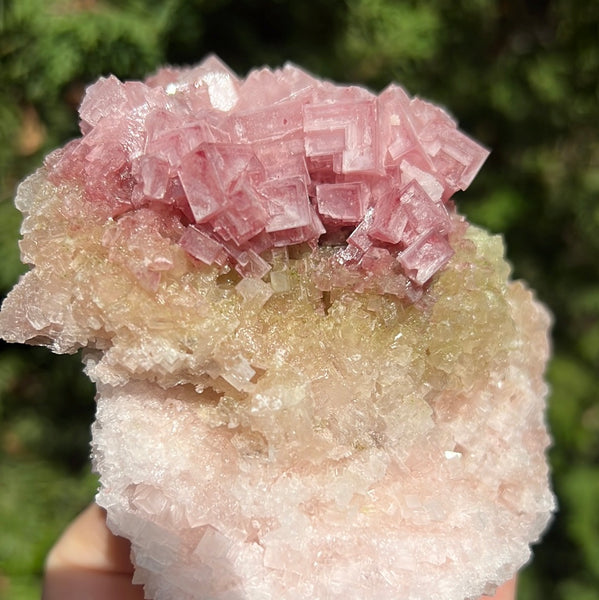 Pink Halite Specimen