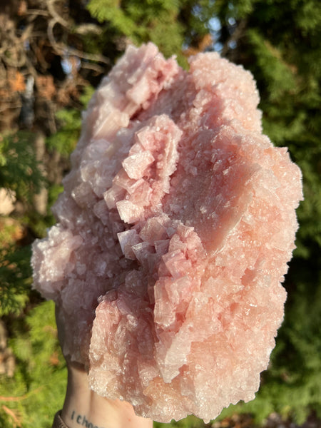 XL Pink Halite Specimen