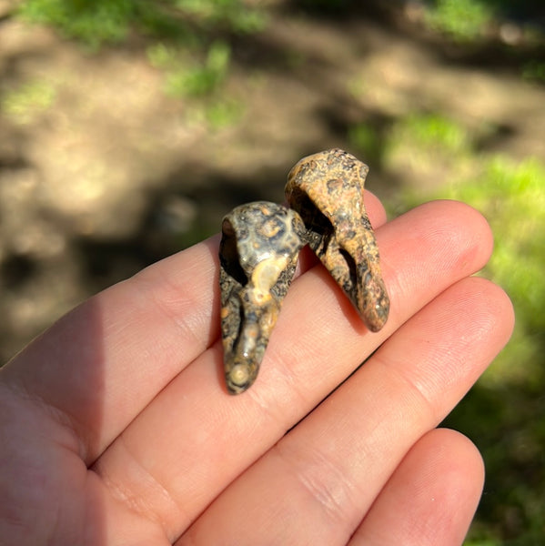 Mini Crow Skull Carvings