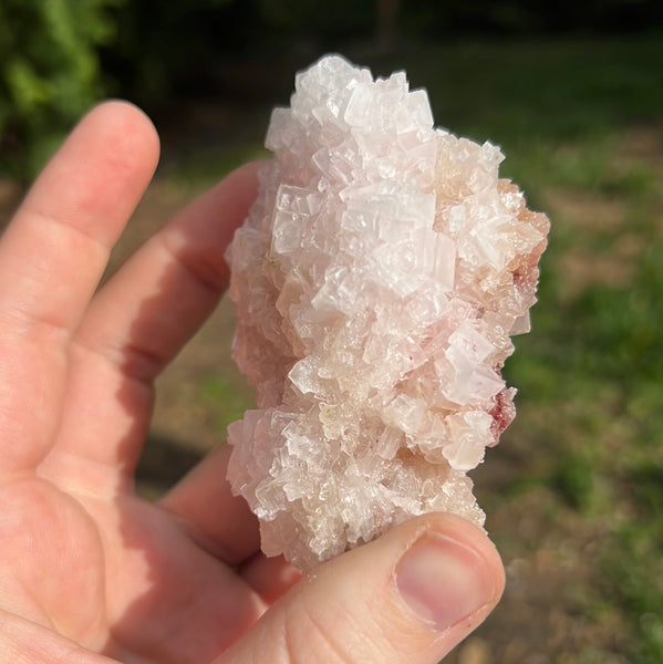 Pink Halite Specimen