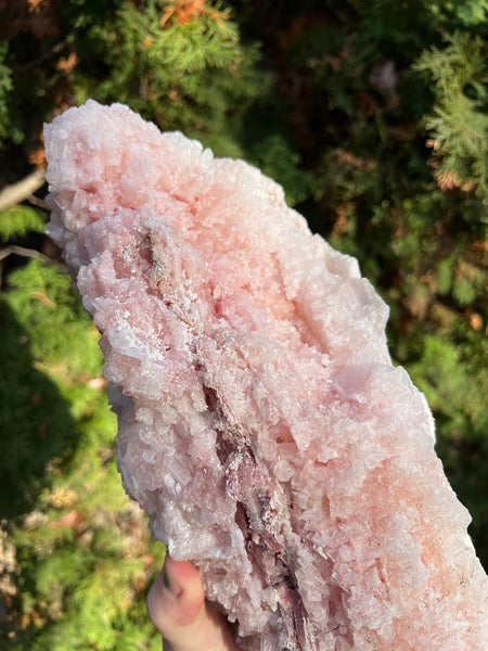 XL Pink Halite Specimen