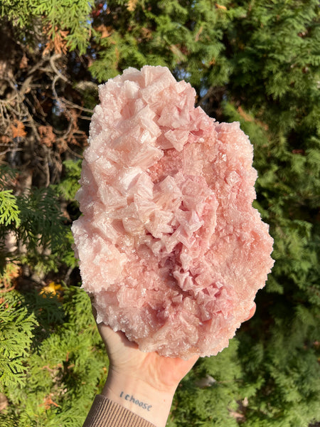 XL Pink Halite Specimen