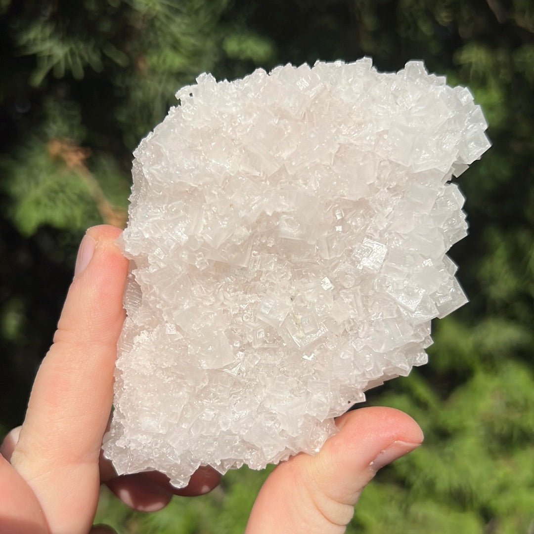 Pink Halite Specimen