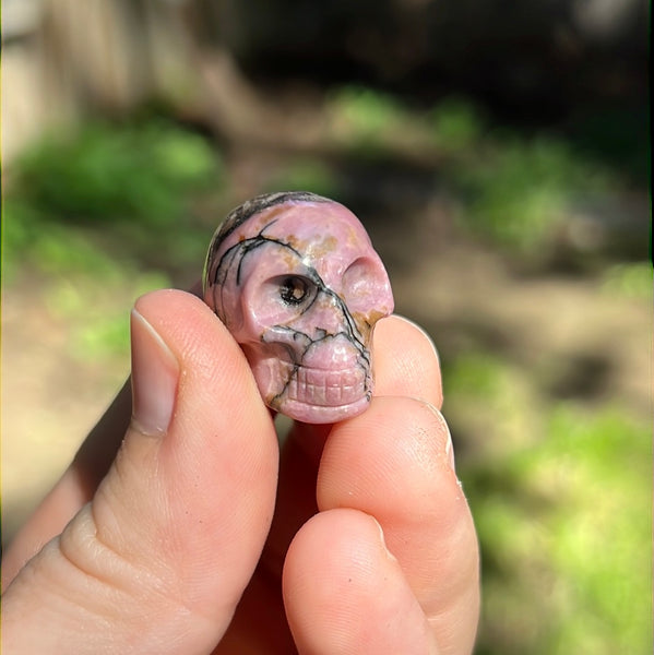 Mini Skull Carvings