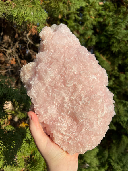 XL Pink Halite Specimen