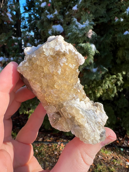 Yellow Cubic Fluorite