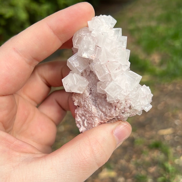 Pink Halite Specimen