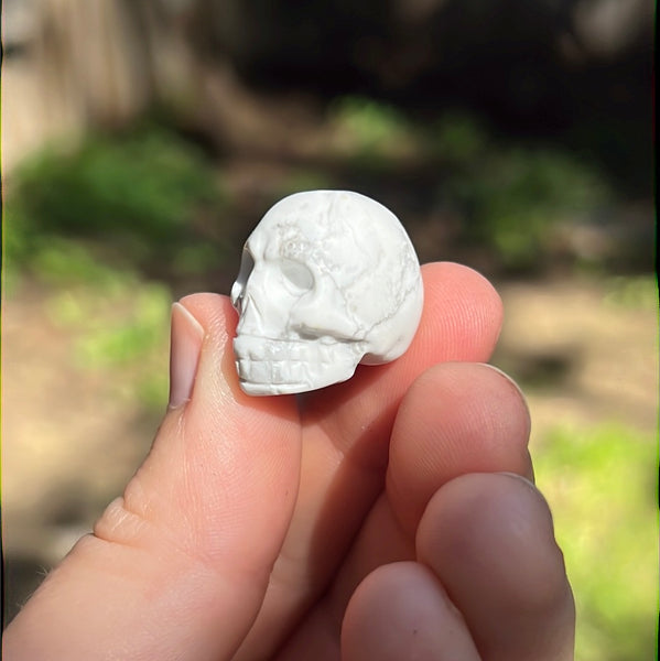 Mini Skull Carvings