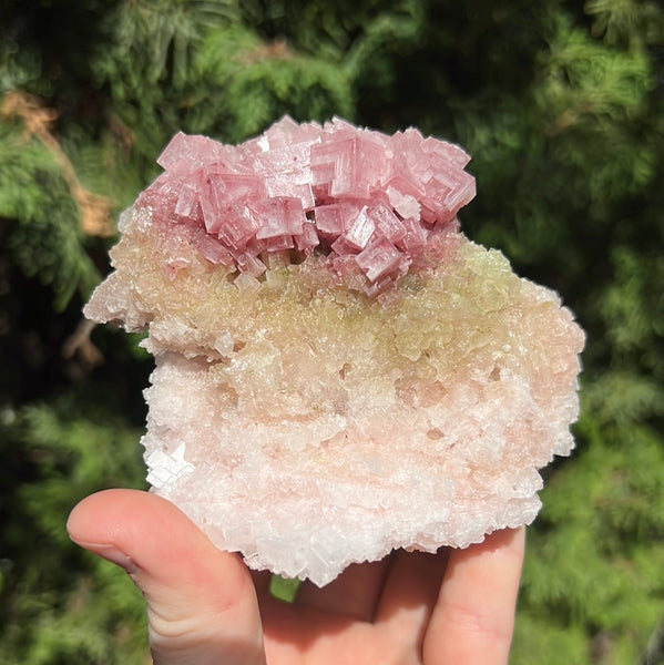 Pink Halite Specimen