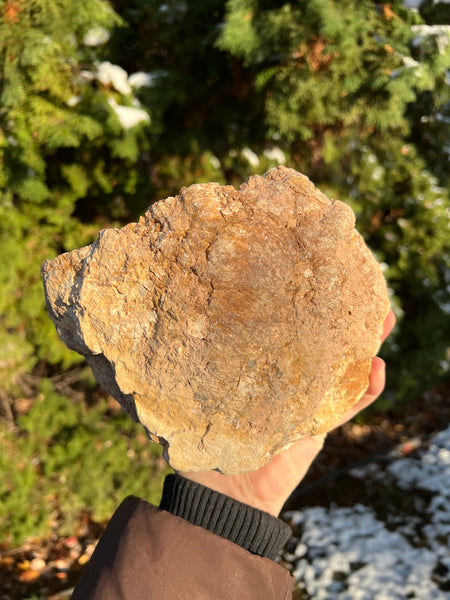 XL Morocco Quartz Geode