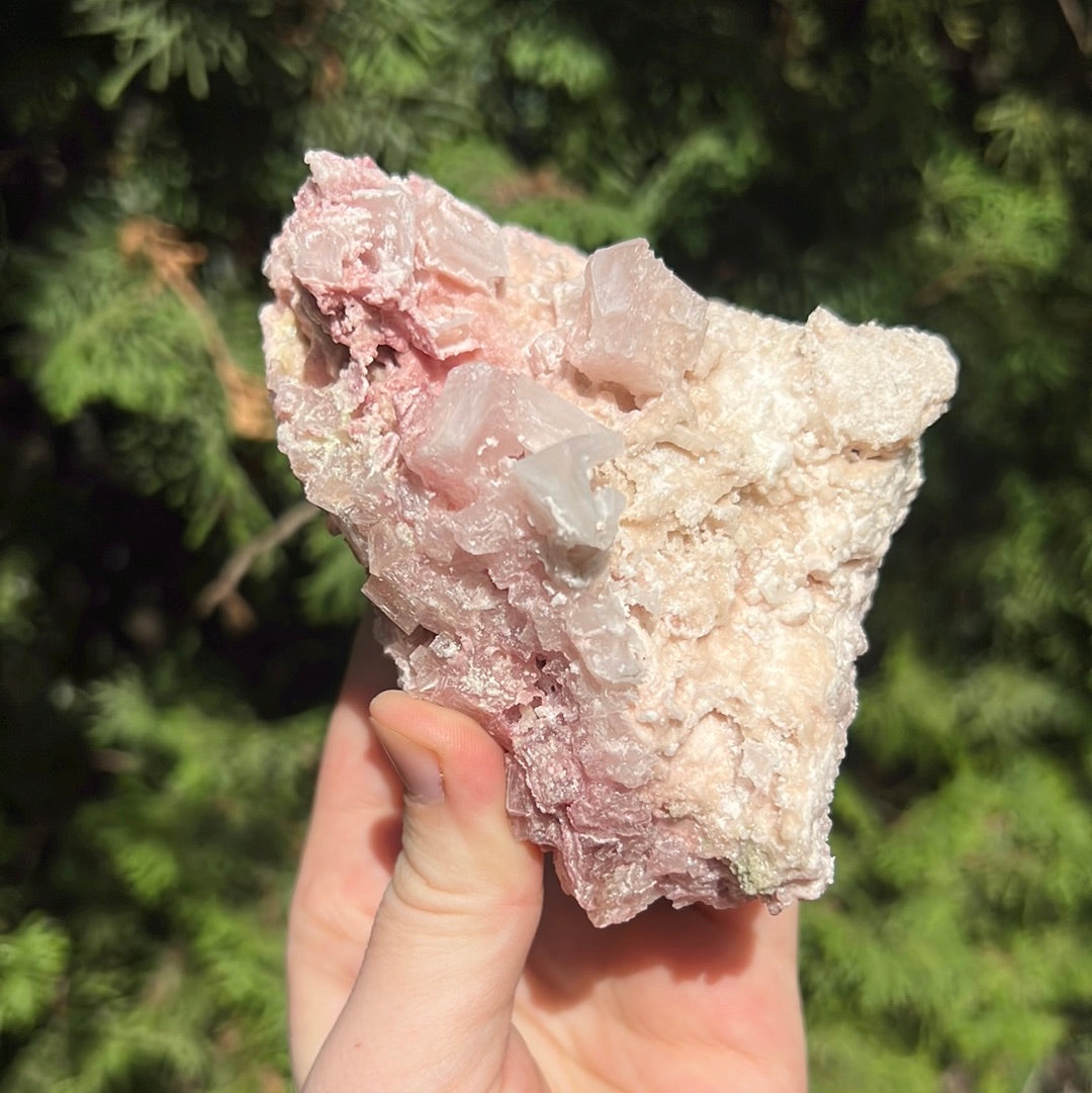 Pink Halite Specimen