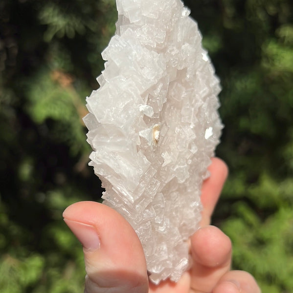 Pink Halite Specimen