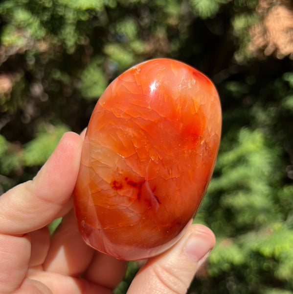 Carnelian Freeform