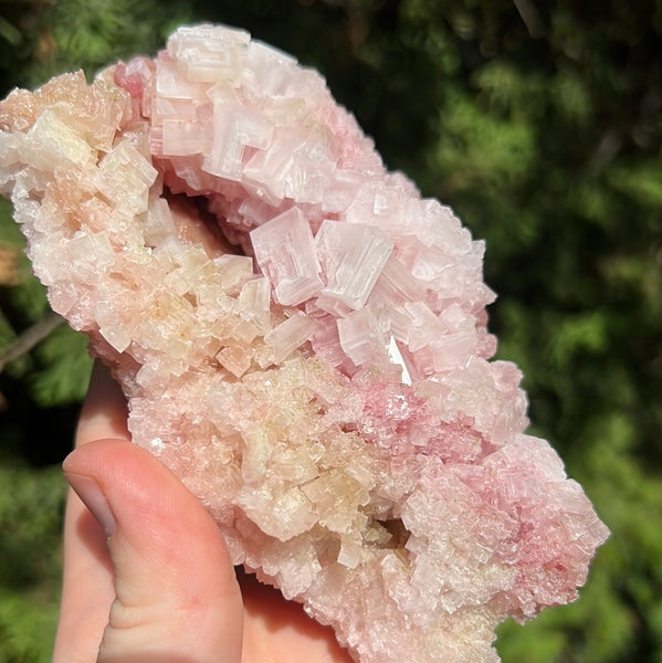 Pink Halite Specimen