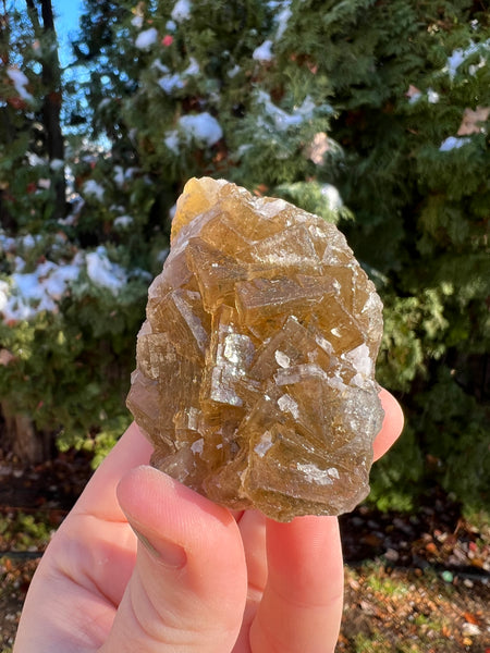 Yellow Cubic Fluorite