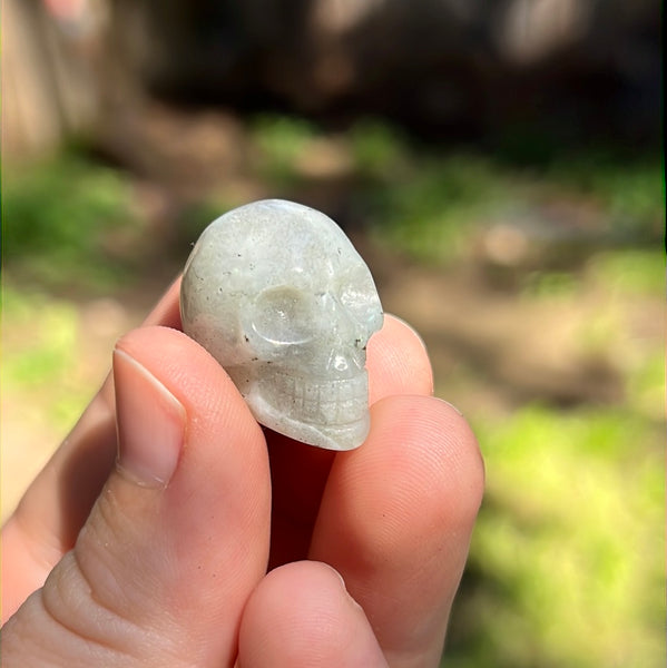 Mini Skull Carvings