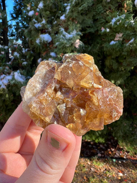 Yellow Cubic Fluorite