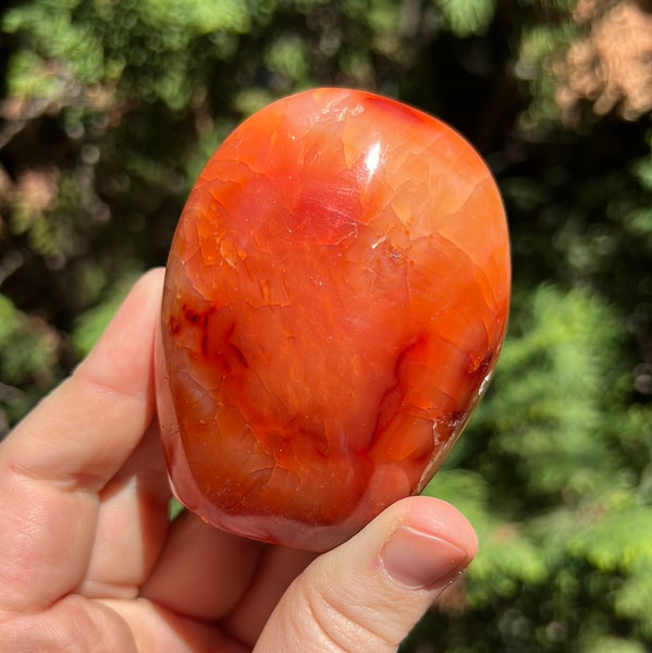 Carnelian Freeform