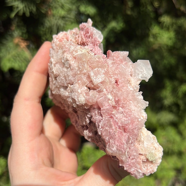 Pink Halite Specimen