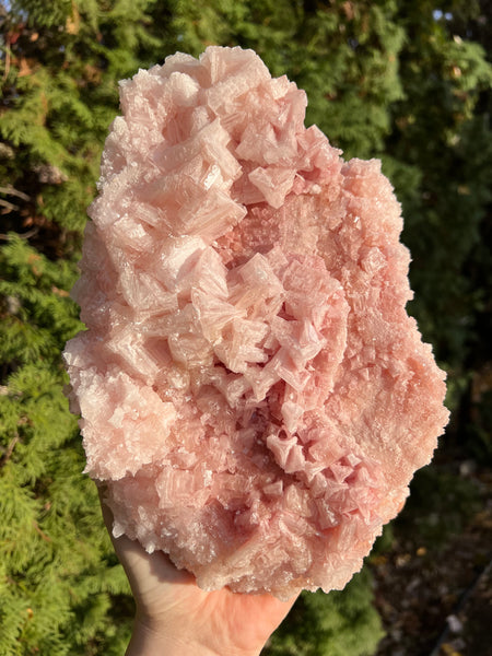 XL Pink Halite Specimen